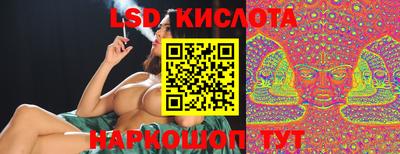 крисы Майкоп