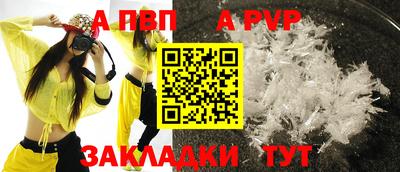 крисы Майкоп