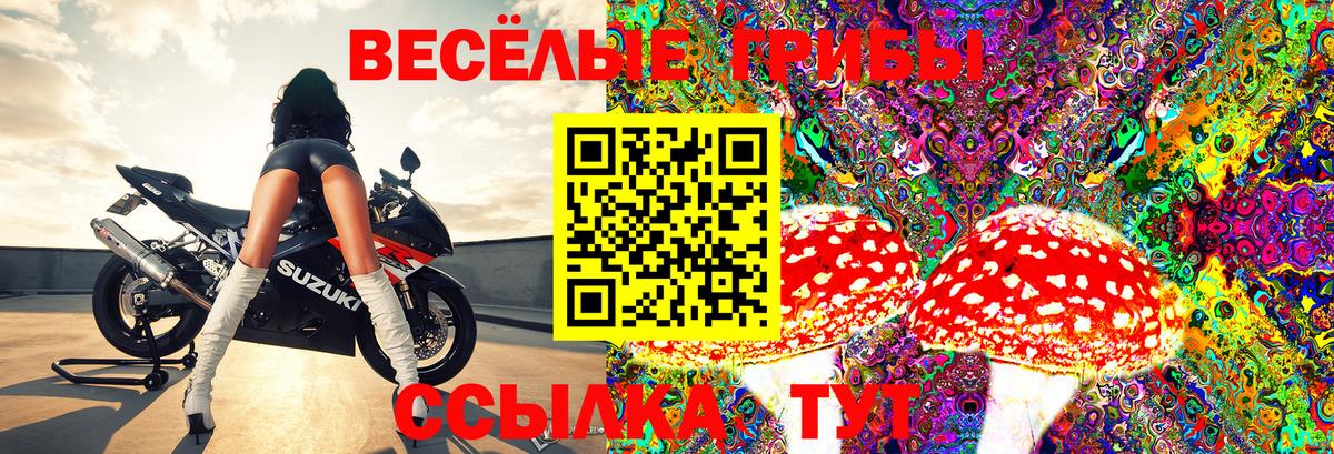 Железноводск  Галлюциногенные грибы ЛСД  Вход с VPN 